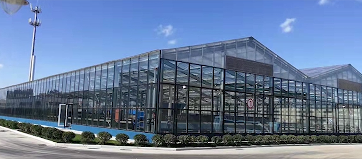 蓬萊污泥無害化處理項(xiàng)目